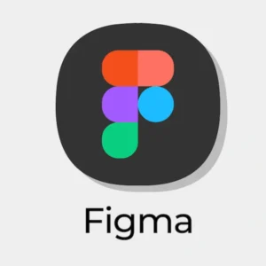 Figma Professional (Own Email)
